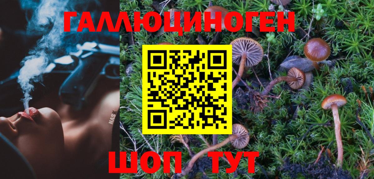 Псилоцибиновые грибы Cubensis Звенигород