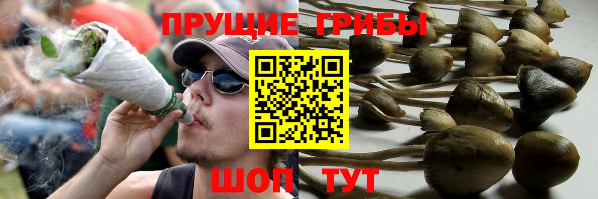 Псилоцибиновые грибы мухоморы  Псилоцибиновые грибы мухоморы  Звенигород  Вход с VPN 